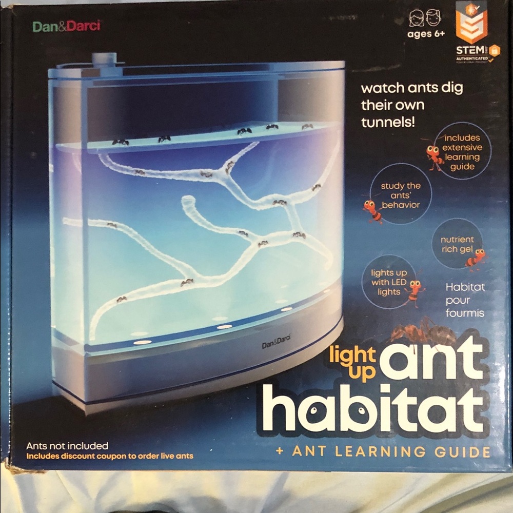 Light Up Ant Habitat for Kids